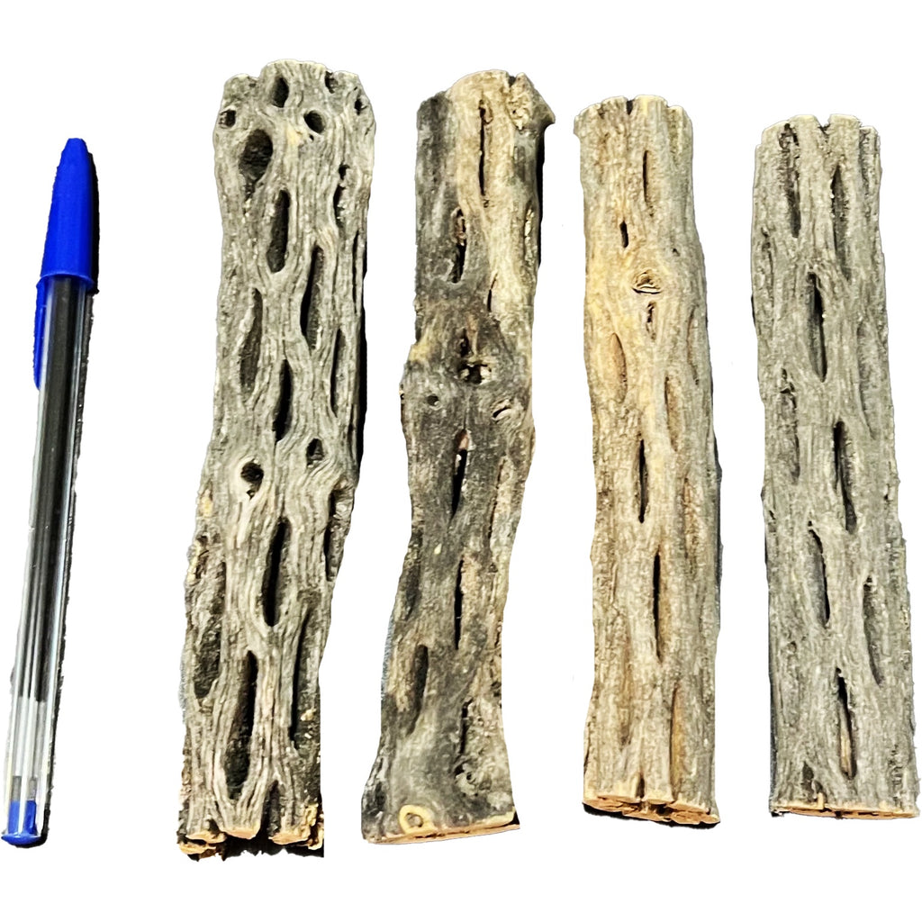 Cholla Wood – porous natural aquarium wood providing shrimp shelter and tannins for blackwater tanks.