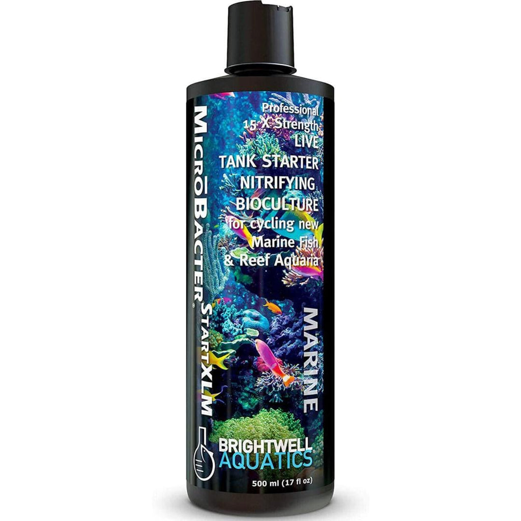 Brightwell Aquatics Microbacter Start XLM