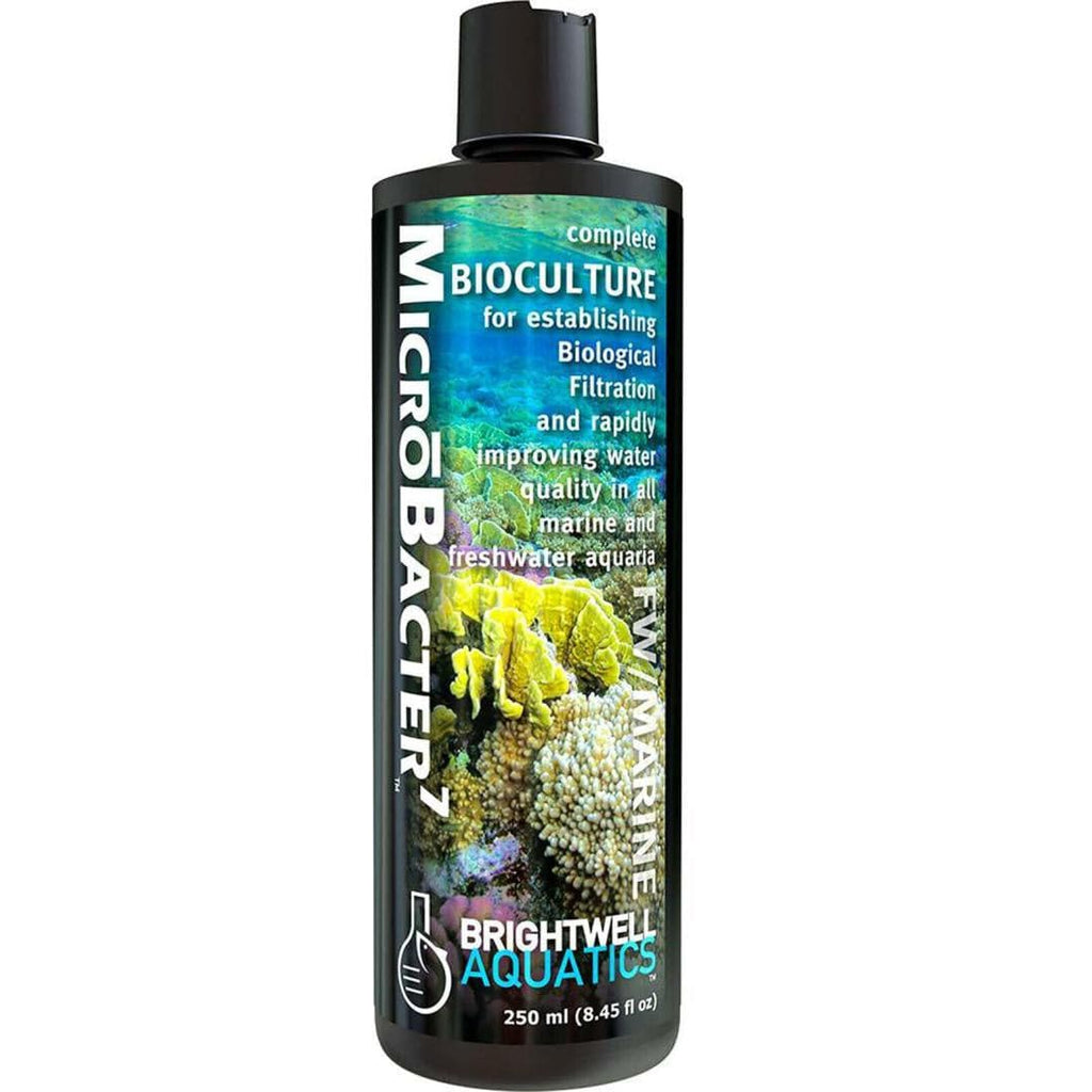 Brightwell Aquatics Microbacter 7
