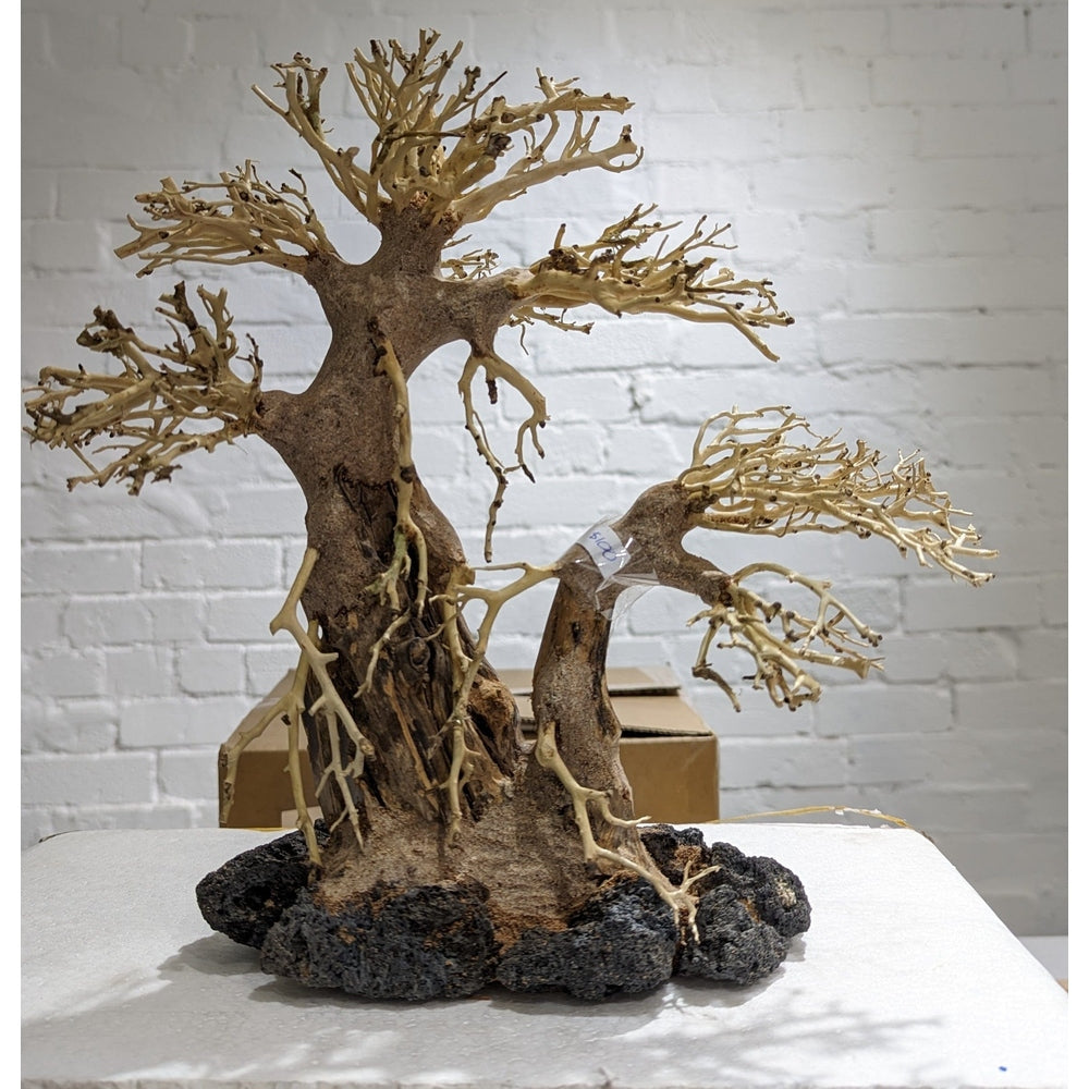 Golden Tree Bonsai Wood 30 x 30cm