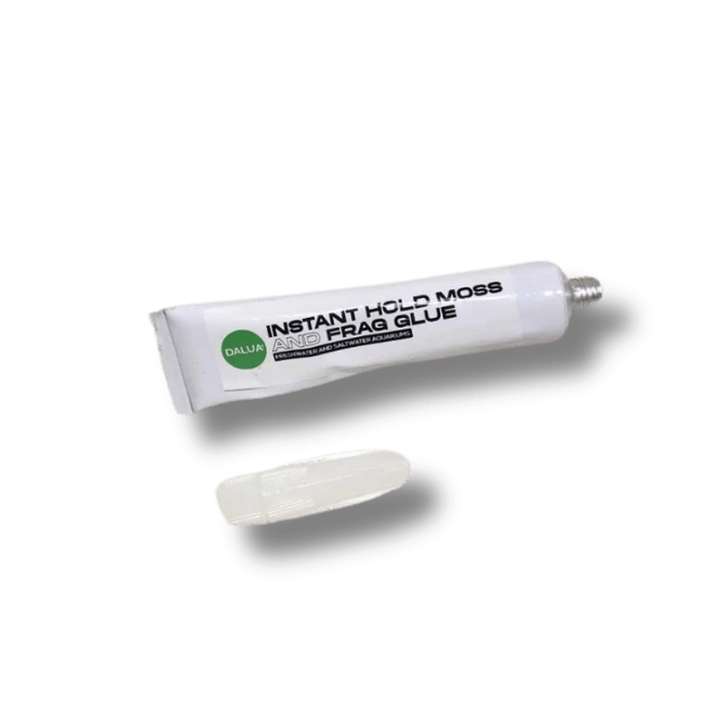 Dalua Instant Hold Moss and Frag Glue