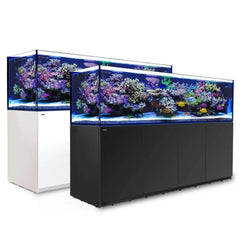 Red Sea Reefer G2+Max 900 White