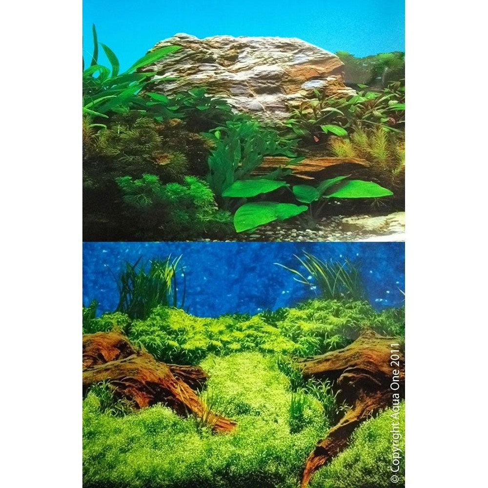 Aqua One Background 60cm – Age Old Wood and Plant aquarium design