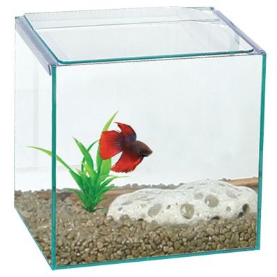 Aqua One Betta Glass Tank 16x16x16cm – nano cube aquarium for Betta fish