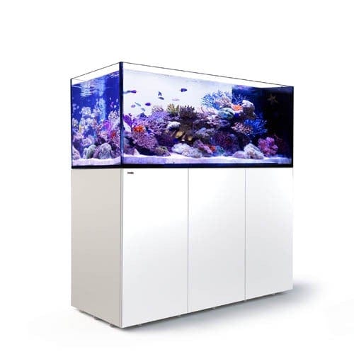 Red Sea Reefer Peninsula P650 (160x64x60cm) - White