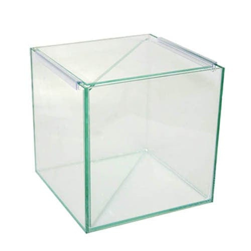 Aqua One Betta Divided Glass Tank 20x20x20