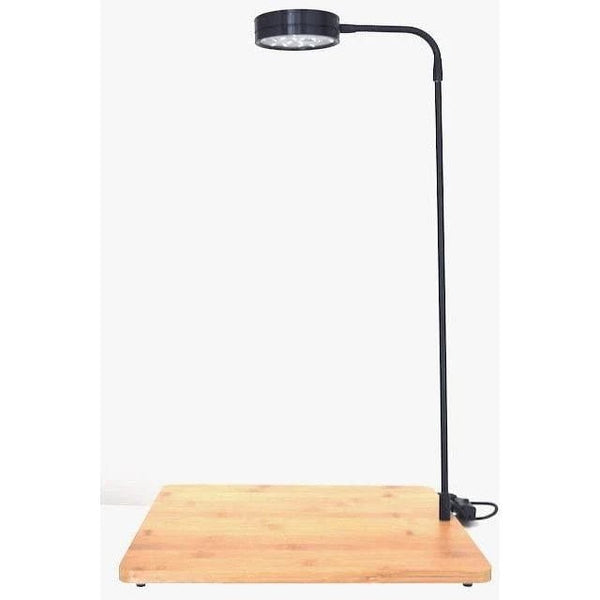 Aquarium discount floor lamp