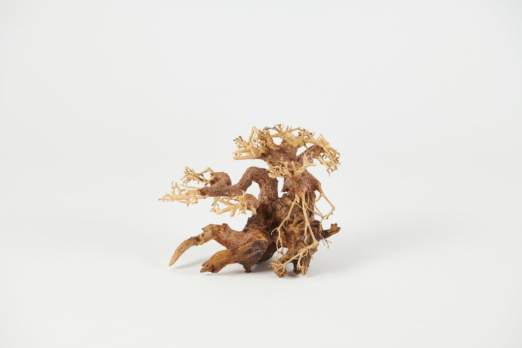 bonsai driftwood, aquascaping wood, planted tank decor, aquarium bonsai wood, 35x25cm bonsai driftwood, terrarium wood, Golden Tree Bonsai, natural aquarium decor