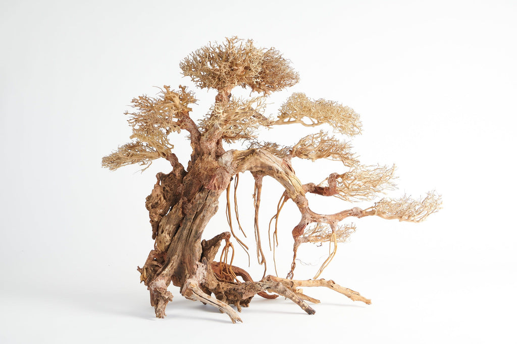 bonsai driftwood, large aquarium wood, aquascaping decor, Golden Tree Bonsai, 80x50cm driftwood, terrarium wood, planted tank hardscape, aquarium bonsai