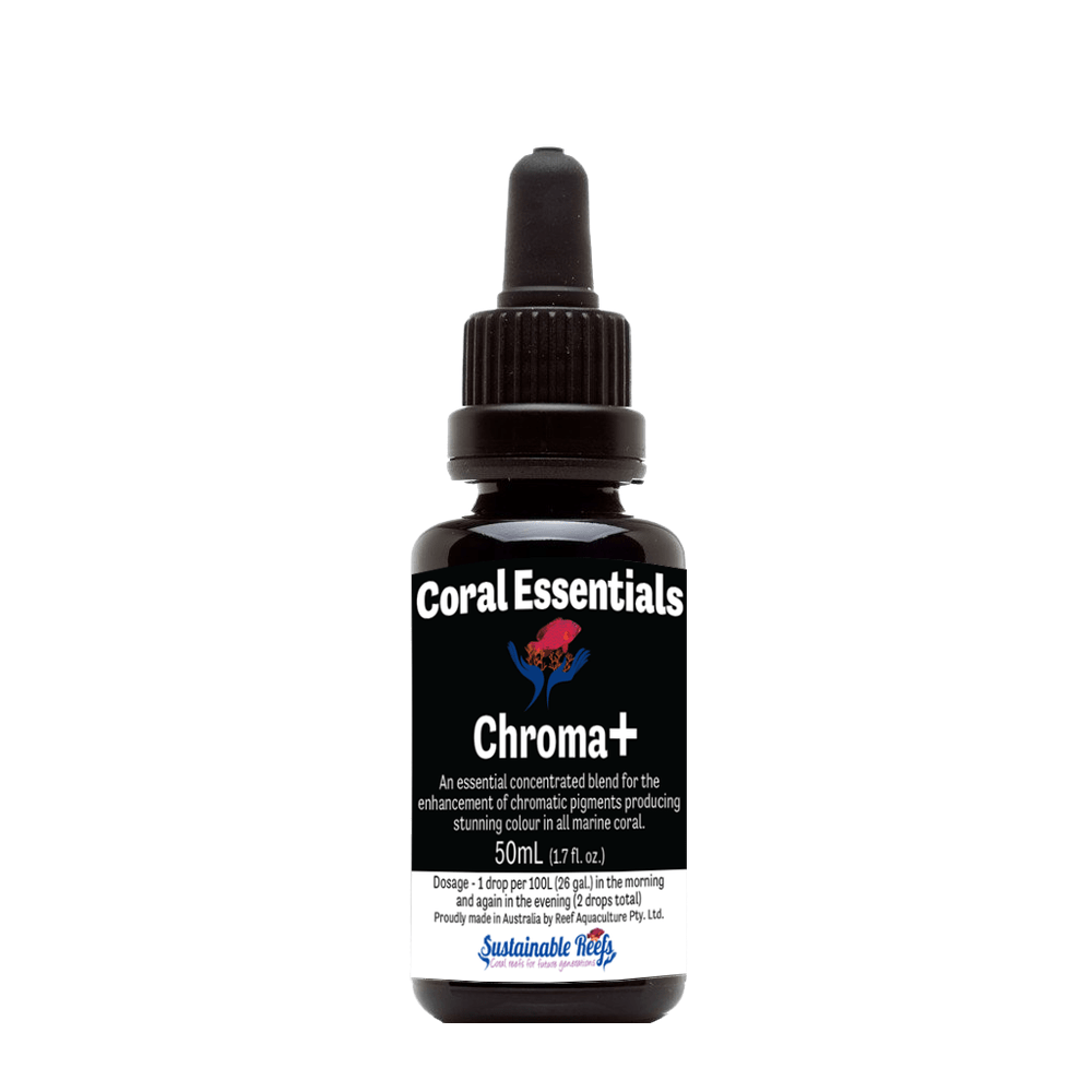 Coral Essentials Chroma
