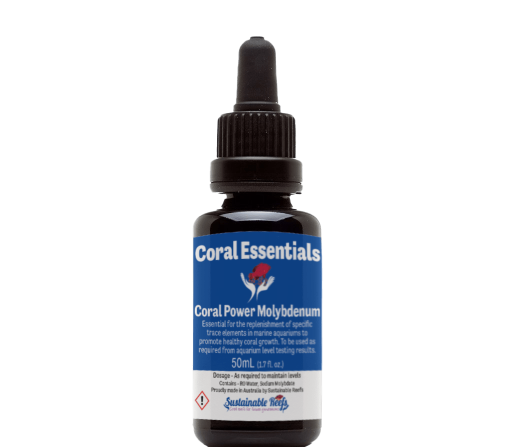 Coral Essentials Molybdenum