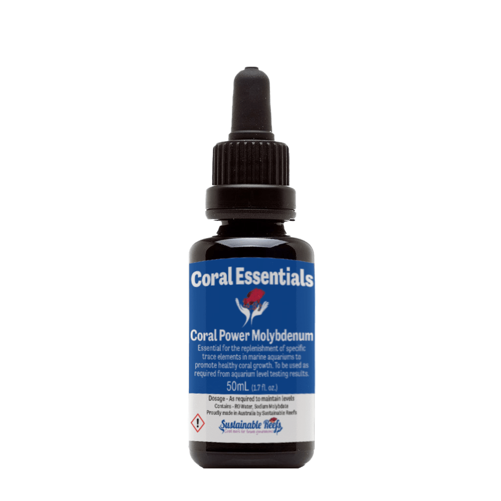 Coral Essentials Molybdenum