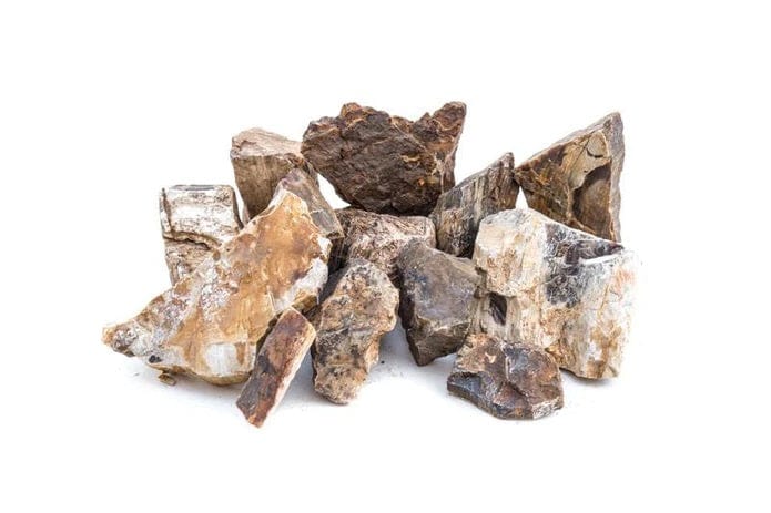 Petrified Wood - Per Kg