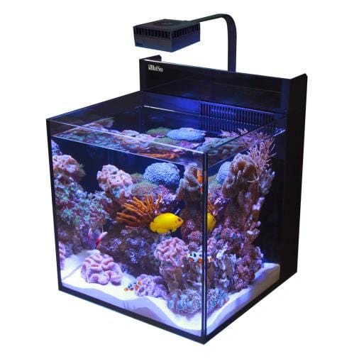 75 litre fish tank deals