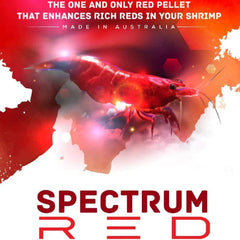 SAS Spectrum Red