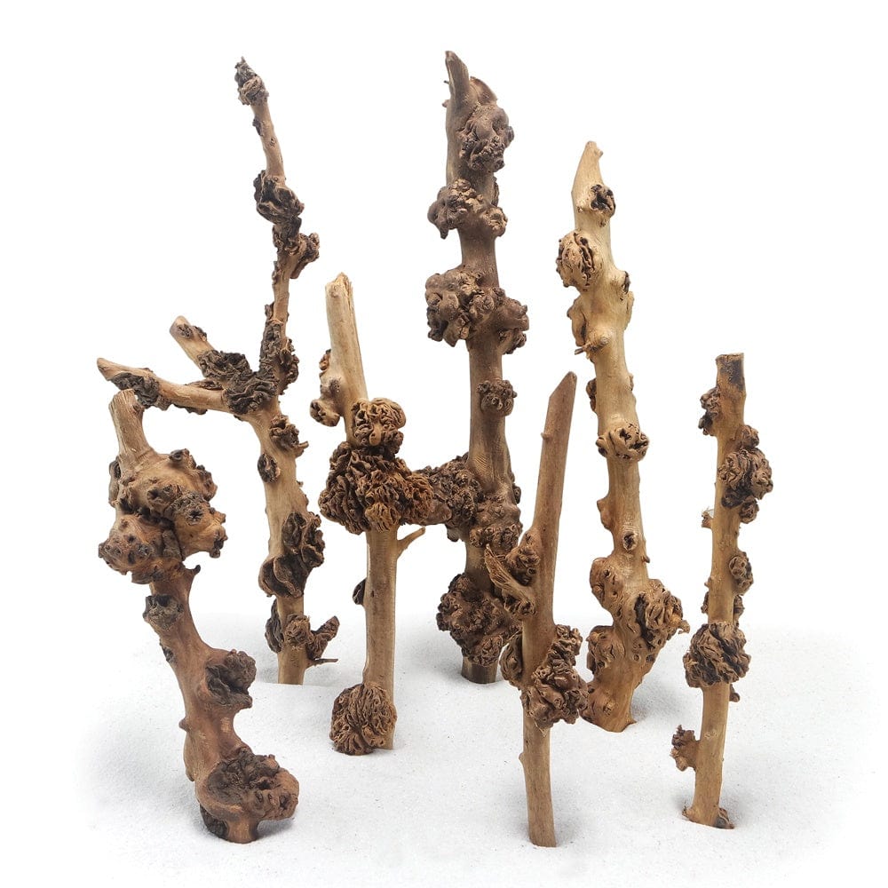 Sava Driftwood