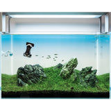 Tunze Care Magnet Nano