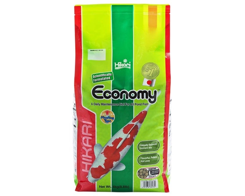 Hikari Economy Large 4kg