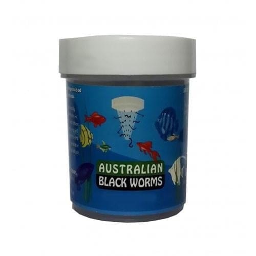 10g jar of loose freeze dried black worms for aquarium fish