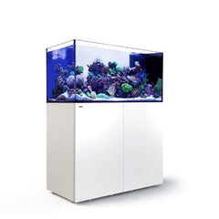 Red Sea Reefer Peninsula P500 (125x60x60cm) - White