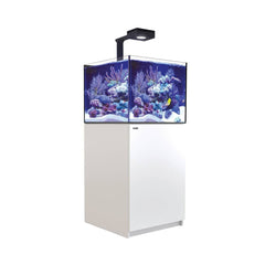 Red Sea Reefer G2 200 Deluxe System - White (Includes RL90 & Mounting Arms)