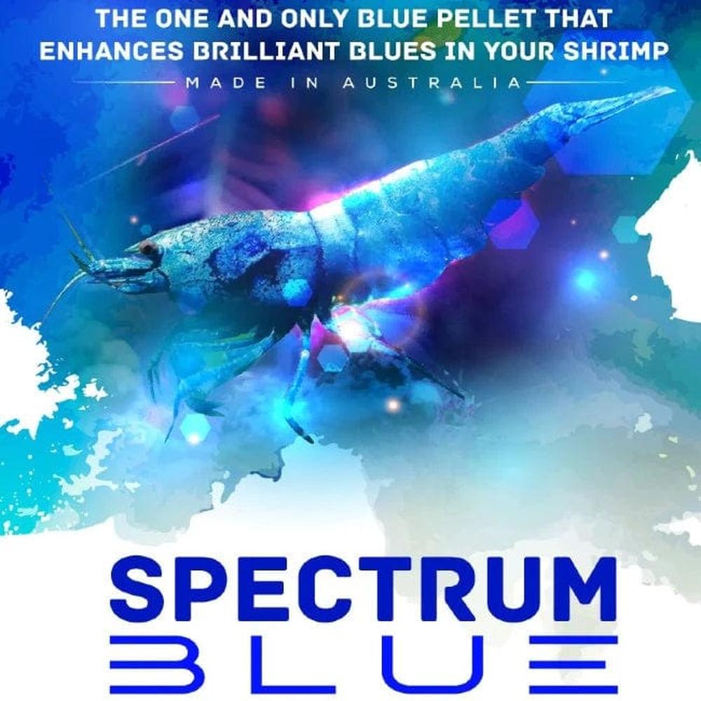 SAS Spectrum Blue 30g – Premium blue colour-enhancing shrimp food pellets