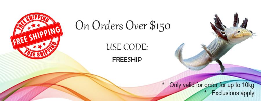 Free Shipping