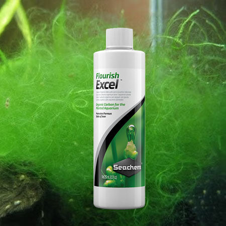 Seachem Excel for Algae