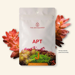 APT Jazz Mini, planted tank fertilizer, root tabs, aquascaping nutrients, nano tank fertilizer, aquasoil booster, 2Hr Aquarist, nitrate limitation