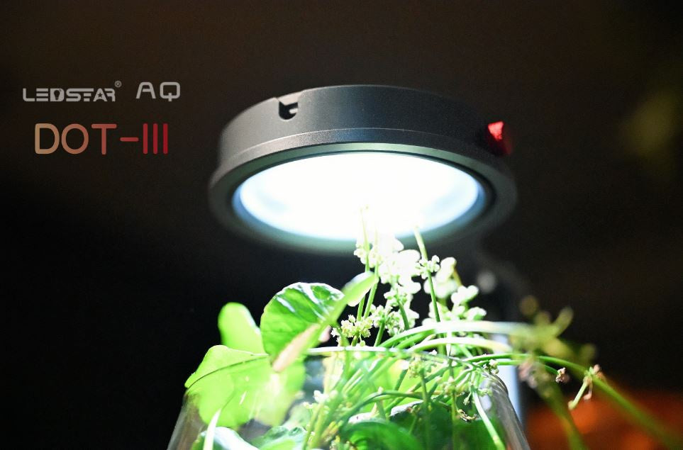 LEDSTAR WRGB Nano Smart Light with Base AQ-D DOT-III