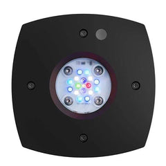 Aqua Illumination Prime 16HD Black LED Reef Light with Full Spectrum and Smartphone Control