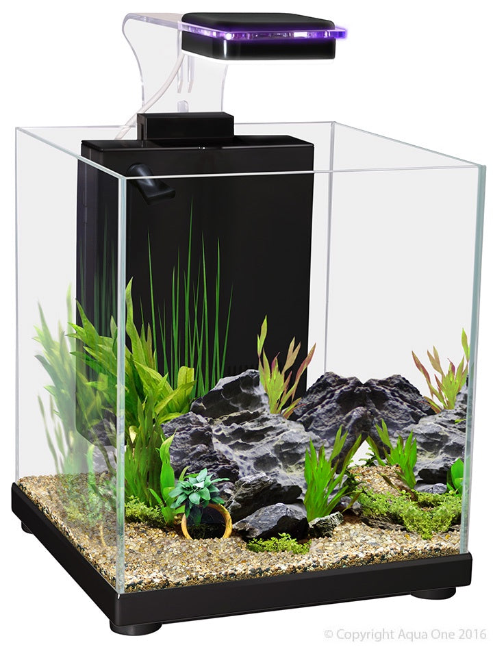 Aqua One Betta Sanctuary Glass Aquarium 10L (22.4x22.4x26.3cm) - Black