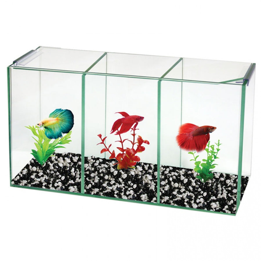 Aqua One Betta Trio Cube  (36x12x20cm)