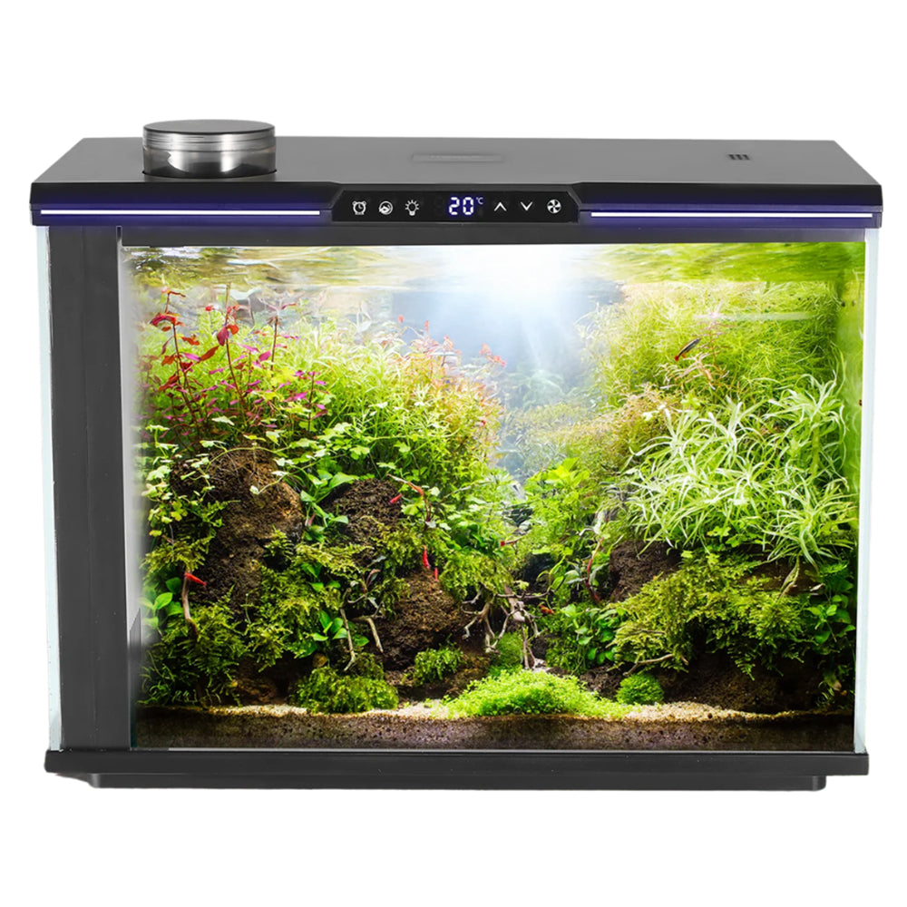 All-in-one 20L nano aquarium with built-in filter and RGB+W lighting