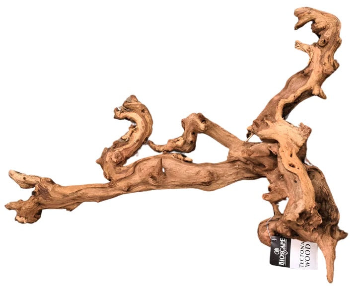 Coral Wood (Tectona) - Per Kg