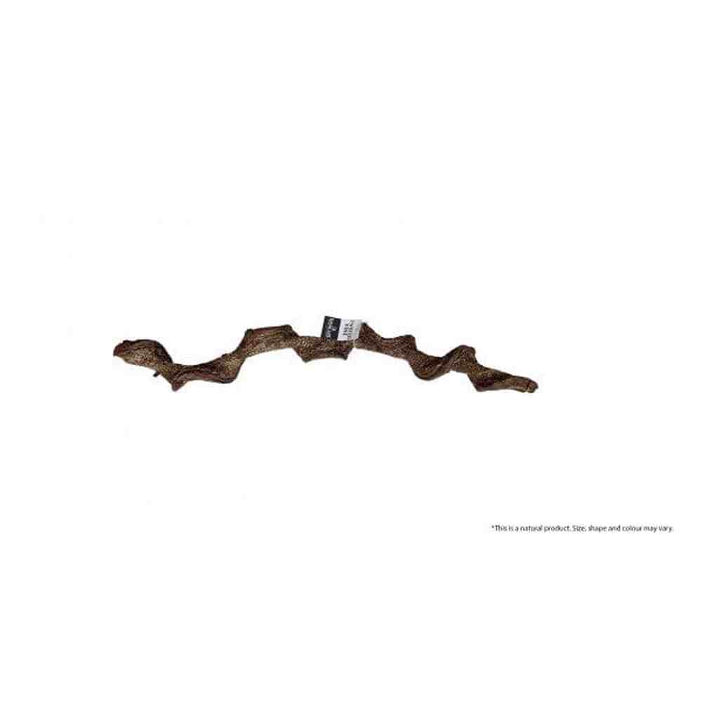 Bioscape Twisted Vine 60cm Diameter 3-4cm