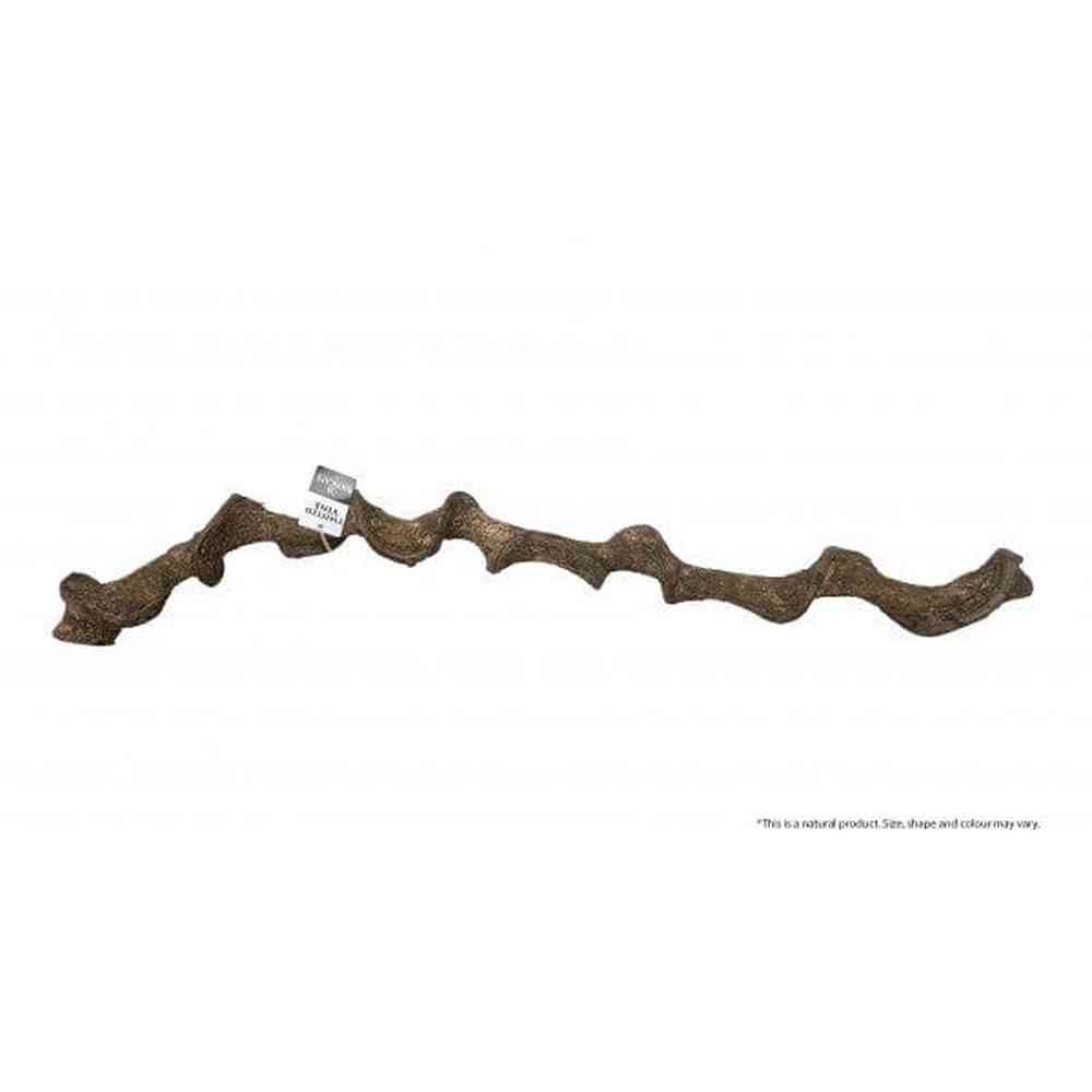 Bioscape twisted Vine 90cm Diameter 5-6cm