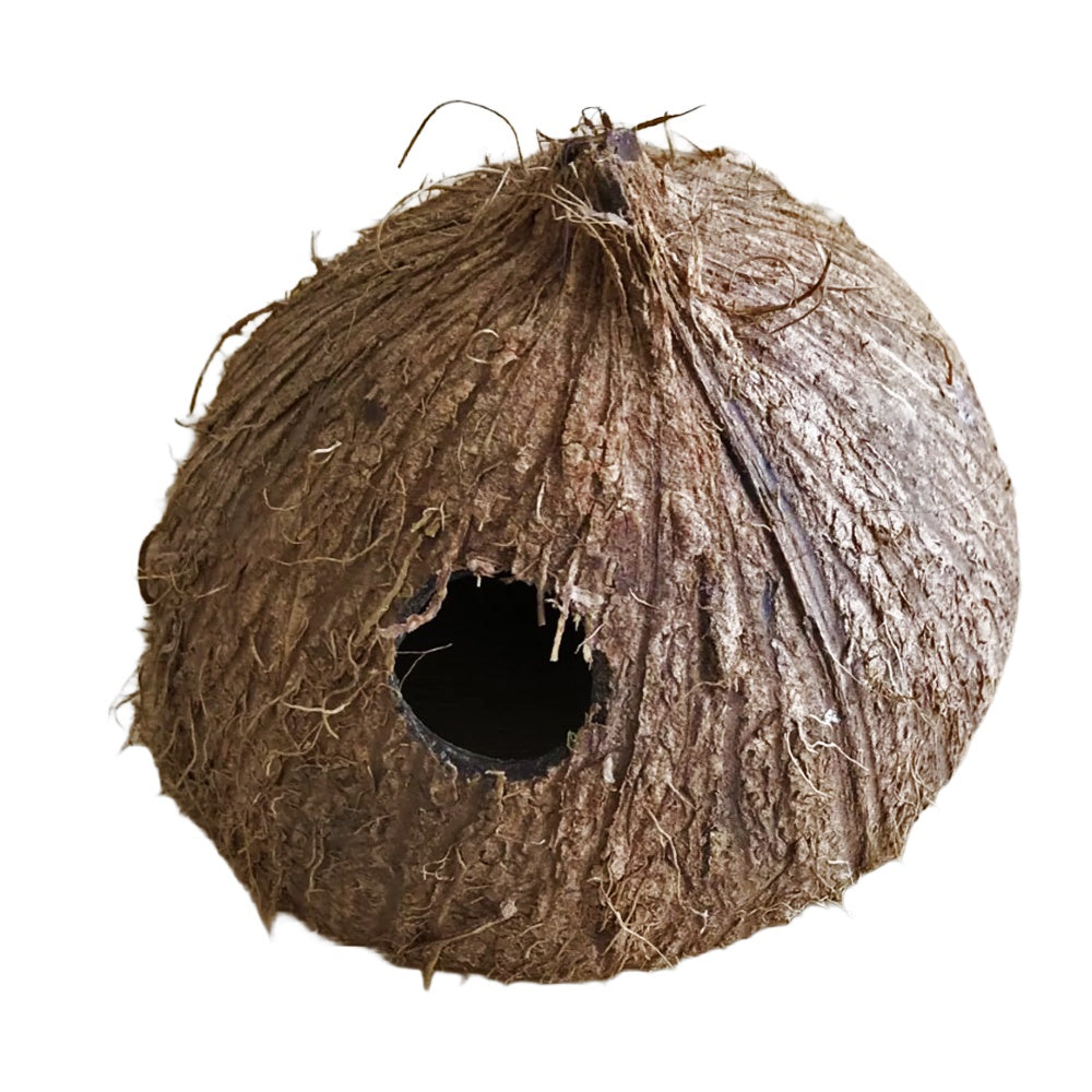 Botanicals Coconut Cave