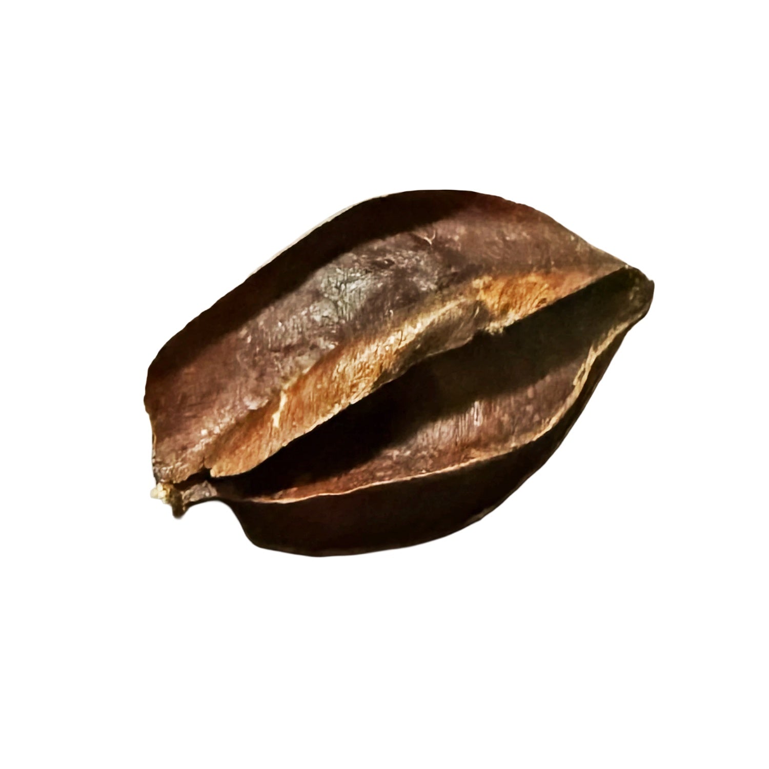 Botanicals Kumbuk Pods
