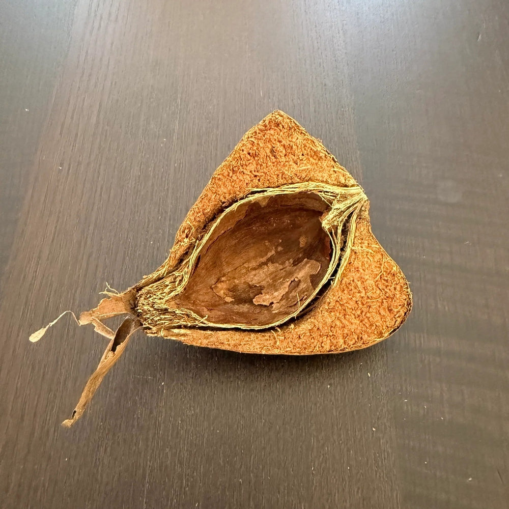 Botanicals Sea Mango Pod