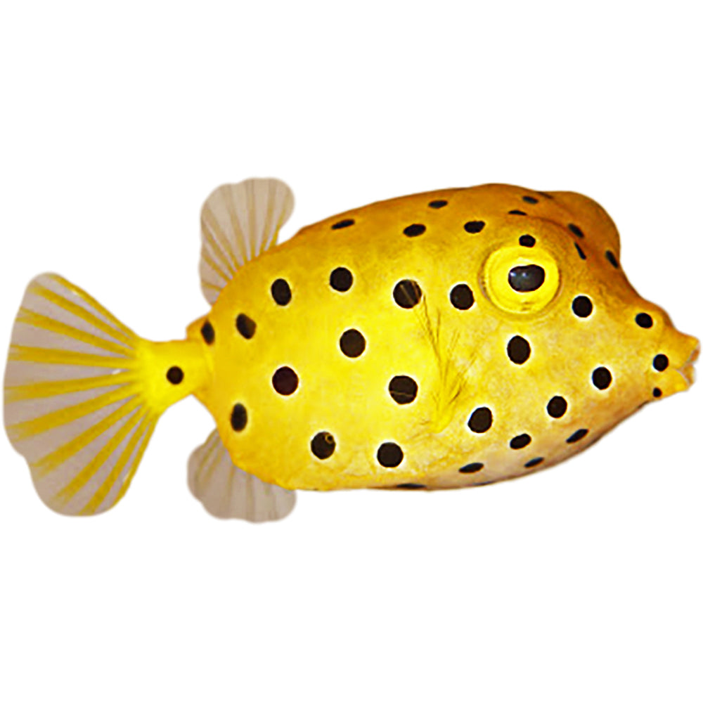 Boxfish Yellow (Ostracion Cubicus)