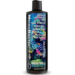 Brightwell Aquatics Microbacter Start XLM