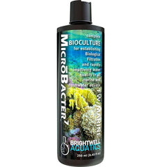 Brightwell Aquatics Microbacter 7