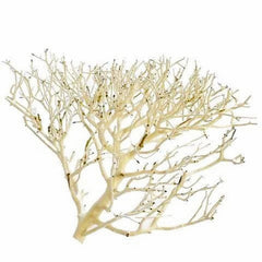 Coral Wood Medium Size