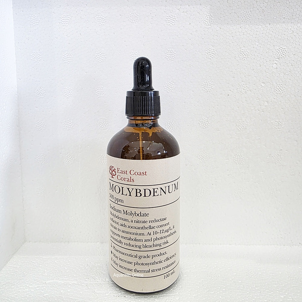 East Coast Corals Molybdenum 100ml bottle