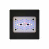 Radion XR15 G6 Blue mounted over reef aquarium