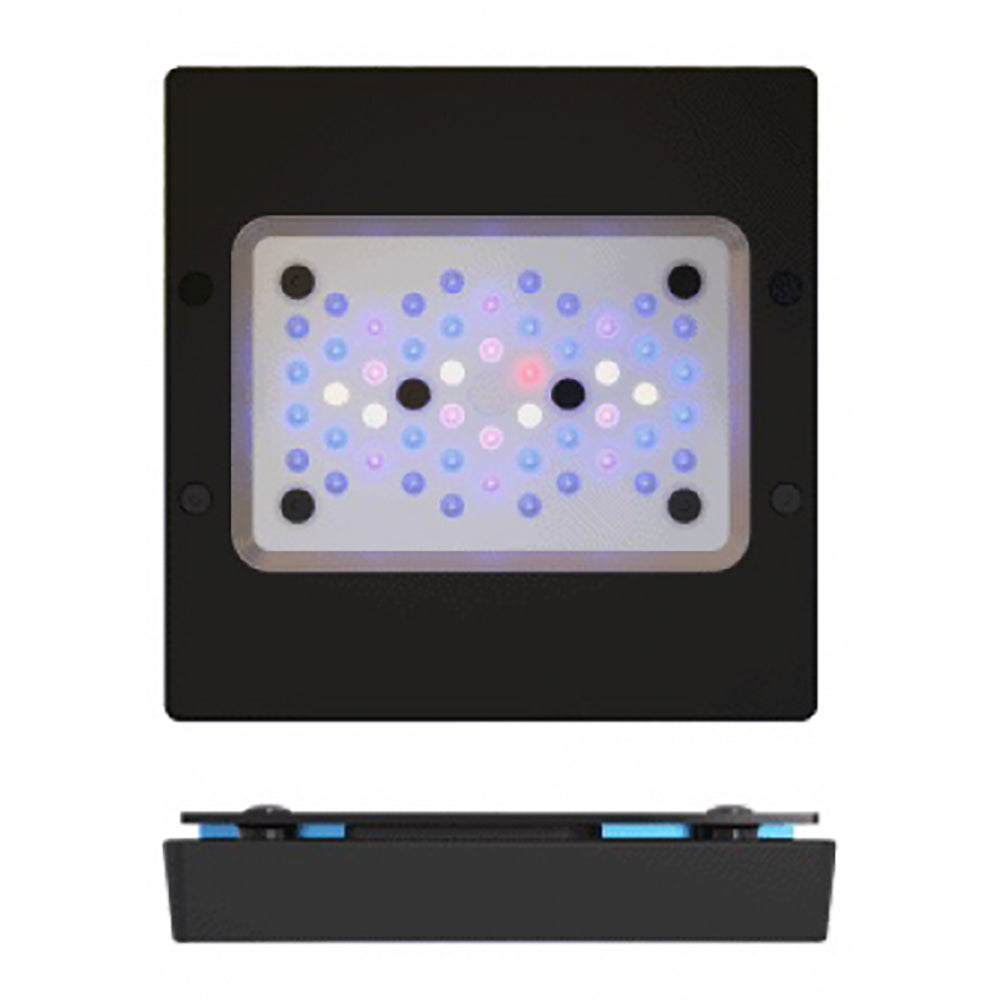 EcoTech Radion XR15 G6 Pro LED cluster and HEI2 optics