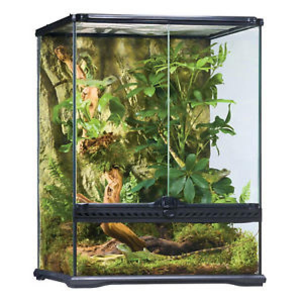 Exo Terra Terrarium - Small Tall (45 x 45 x 60cm)