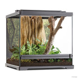 Exo Terra Frog Terrarium