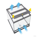 Exo Terra Frog Terrarium